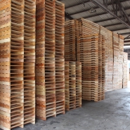 Baserler Forest Products